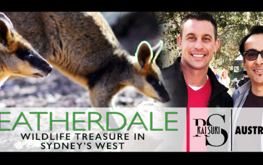 Featherdale - Sydney's Wildlife Treasure